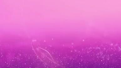 浪漫温馨枫叶爱心粉色渐变粒子线条背景素材视频的预览图